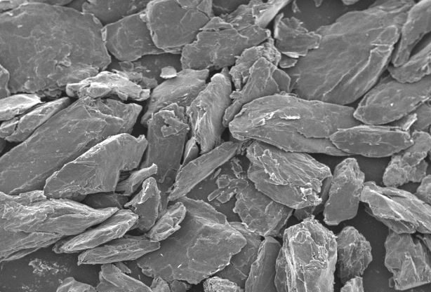 Scanning electron microscope image showing a close-up view of layered mineral flakes, highlighting their irregular shapes and textures. Scale bar indicates a size of 1 mm for reference.
