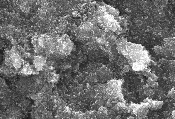 Scanning electron microscope image showing a textured surface with granular formations, scale bar indicates 10 µm. Ideal for studies in materials science and nanotechnology.