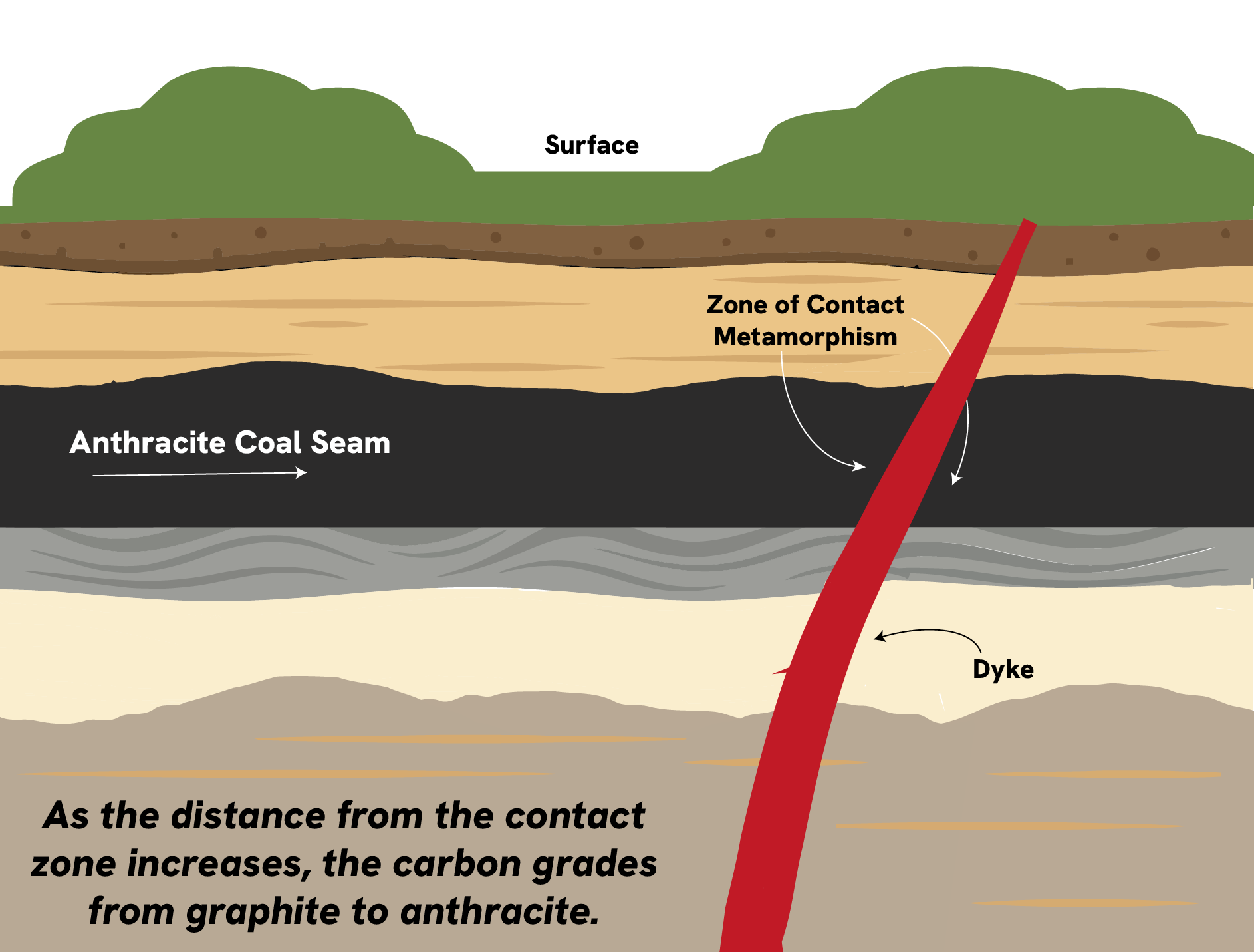 Diagram illustrating the geological layers of anthracite coal, including the surface, anthracite coal seam, zone of contact metamorphism, and dyke. The diagram explains how carbon grades transition from graphite to anthracite as the distance from the contact zone increases.