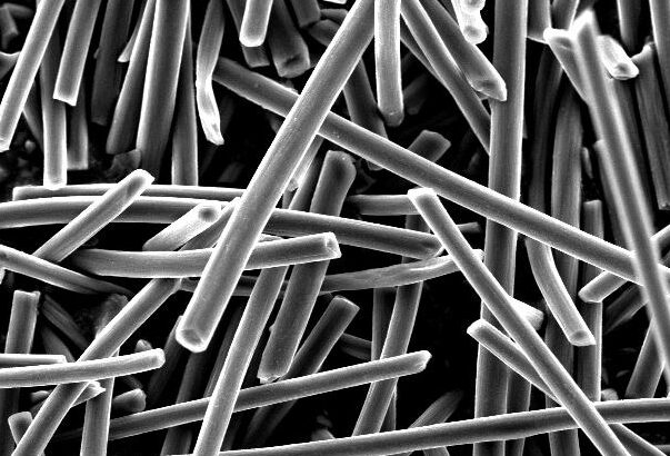 Scanning electron microscope image of a sample showing numerous cylindrical structures, with a scale bar indicating 50 micrometers for size reference.