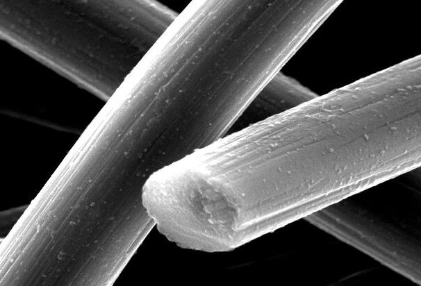 Scanning electron microscope image showing close-up of cylindrical fibers, with a scale bar indicating a measurement of 5 micrometers, highlighting their fine structure and surface details.