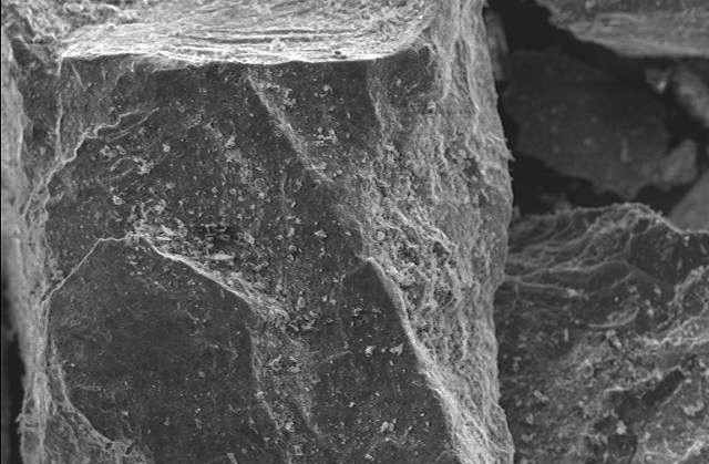 Close-up view of a textured rock surface, showcasing intricate details and mineral formations, ideal for geology studies and mineralogy research.