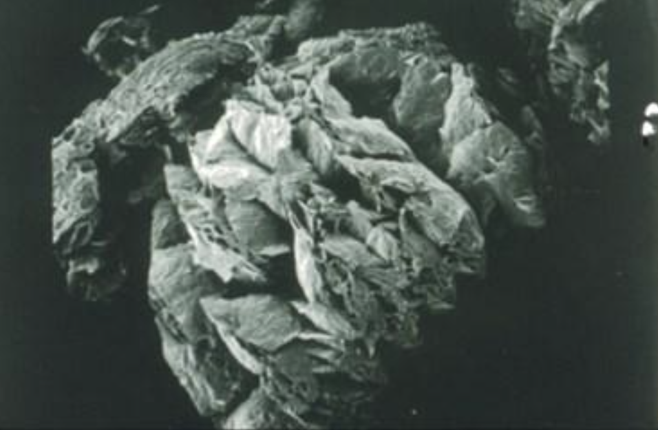 Microscopic image of a complex mineral structure with layered textures and intricate patterns, showcasing the detailed surface morphology under high magnification. Ideal for studies in geology and material science.