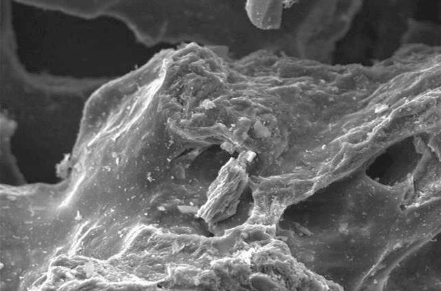 Microscopic view of a textured surface showcasing intricate details of a material's structure, highlighting its roughness and composition under high magnification.