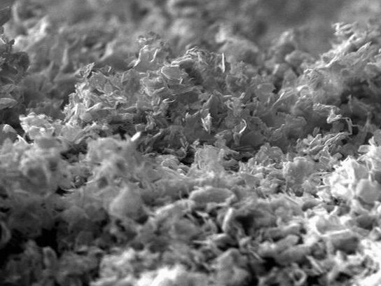 Close-up scanning electron microscope image of a textured surface displaying fine, fibrous structures. The magnification is 505x, revealing intricate details at a scale of 10 micrometers. Ideal for studies in material science and microscopy.