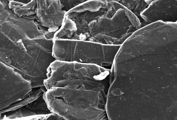 Microscopic image of mineral samples showing various crystal shapes and textures, with a scale bar indicating 50 micrometers for size reference.