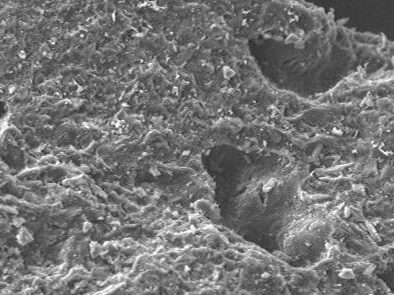 Scanning electron microscope image of a porous material, showing intricate surface textures and small cavities at 250x magnification. The image highlights the detailed structure of the material, useful for studies in materials science and engineering applications.