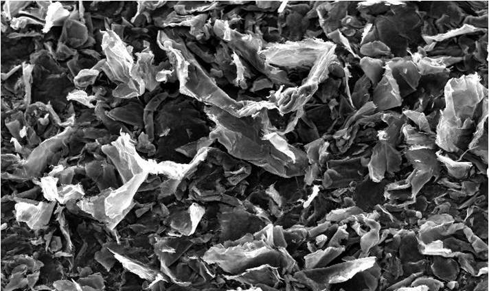 Close-up view of a microscopic image showing layered flakes of material, likely graphite or similar substances, highlighting their intricate textures and structures. Ideal for studies in materials science and nanotechnology.