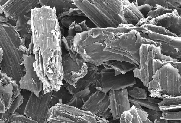 Scanning electron microscope image showing a close-up view of layered mineral structures, with a scale bar indicating 100 micrometers. The image highlights the intricate textures and forms of the mineral particles.