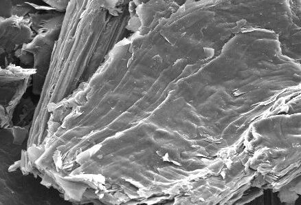 Microscopic view of layered mineral structures captured with a scanning electron microscope, showcasing intricate textures and details at a scale of 100 micrometers.