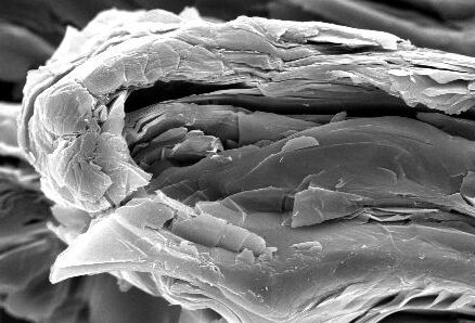 Synthetic Graphite