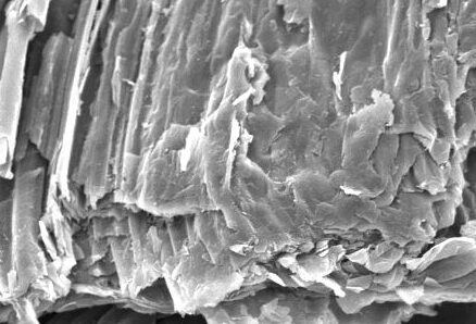 Scanning electron microscopy image showing a close-up view of layered material with distinct textures and structures, highlighting the fine details at a scale of 50 micrometers.