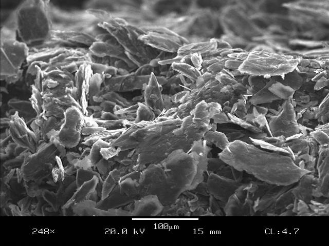 Microscopic image of layered mineral structures, showcasing fine details of their texture and arrangement under 248x magnification. The image highlights the intricate patterns and shapes of the mineral flakes, emphasizing their crystalline nature.