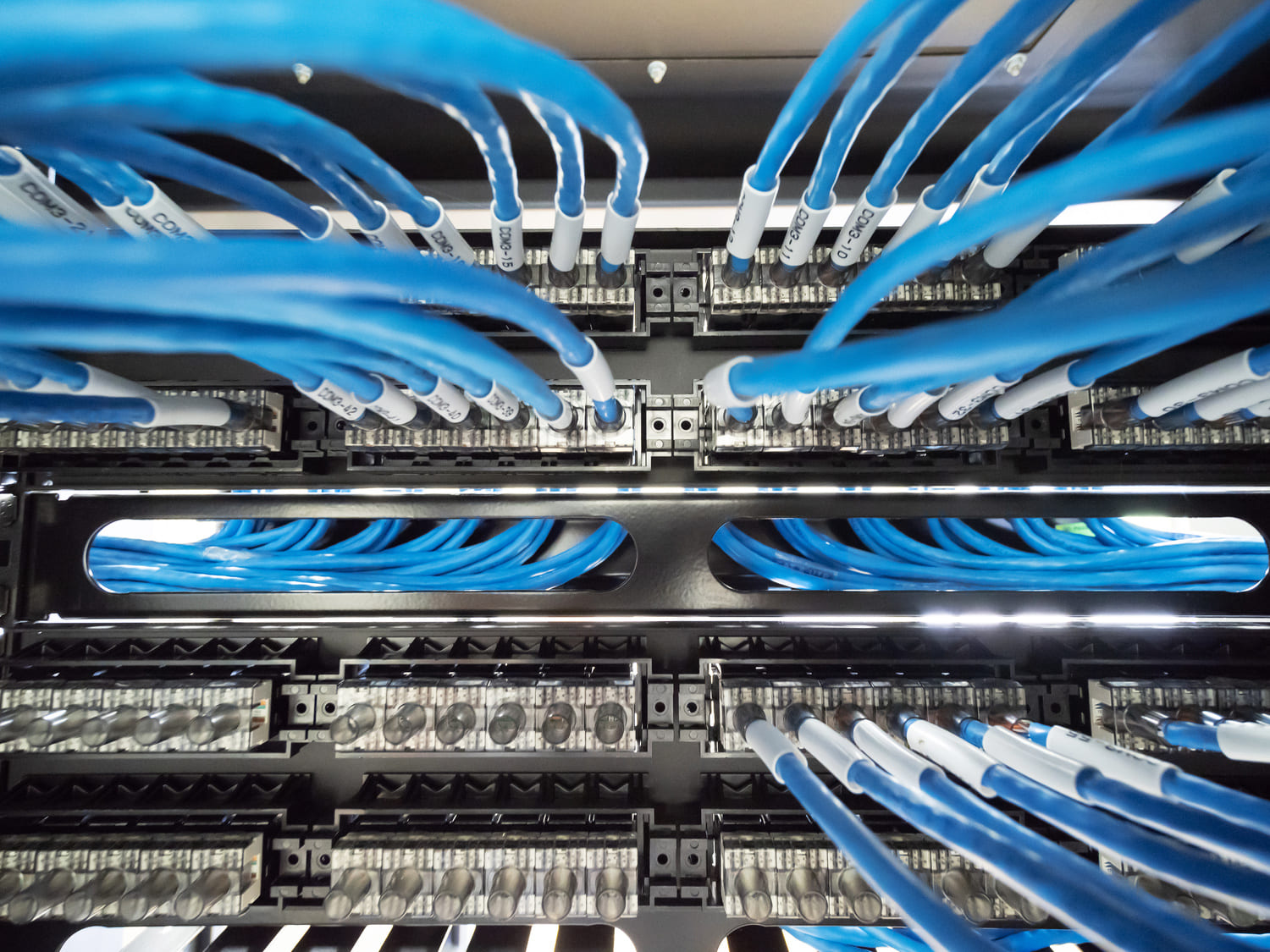 Close-up view of a network patch panel featuring multiple blue Ethernet cables connected to organized ports, showcasing efficient cable management in a data center environment.