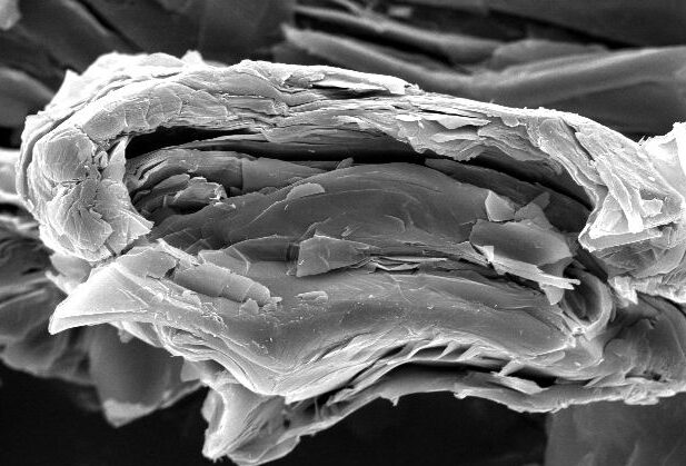 Scanning electron microscope image of a layered material, showcasing distinct folds and textures at a magnification of 20 micrometers. This close-up reveals the intricate structure and composition, useful for materials science and nanotechnology research.