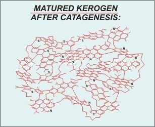 Diagram illustrating the molecular structure of matured kerogen after catagenesis, featuring interconnected organic compounds with sulfur, nitrogen, and oxygen atoms.