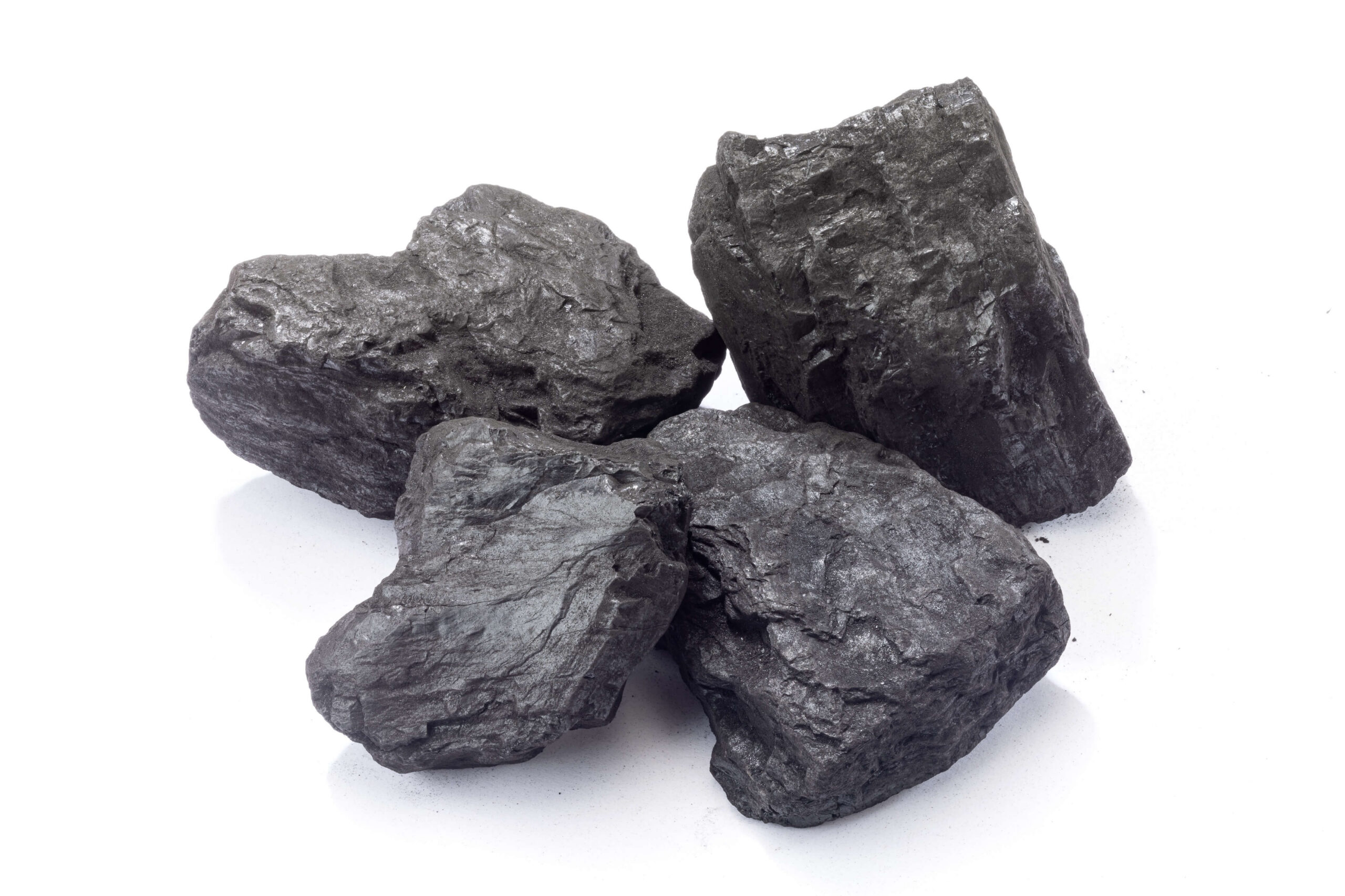 Four pieces of natural coal arranged on a white background, showcasing their rough, black surfaces and irregular shapes, highlighting their use as a fossil fuel and in various industrial applications.