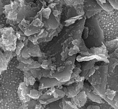 Scanning electron microscope image showing a close-up view of crystalline structures at a magnification of 203,650x, highlighting the intricate details and textures of the sample surface.