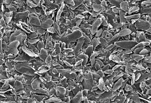 Scanning electron microscope image showing a close-up view of layered particles, with a scale bar indicating 200 micrometers, illustrating the intricate texture and structure of the material.